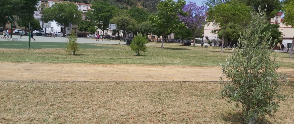 jardineria mayo 2024 -4