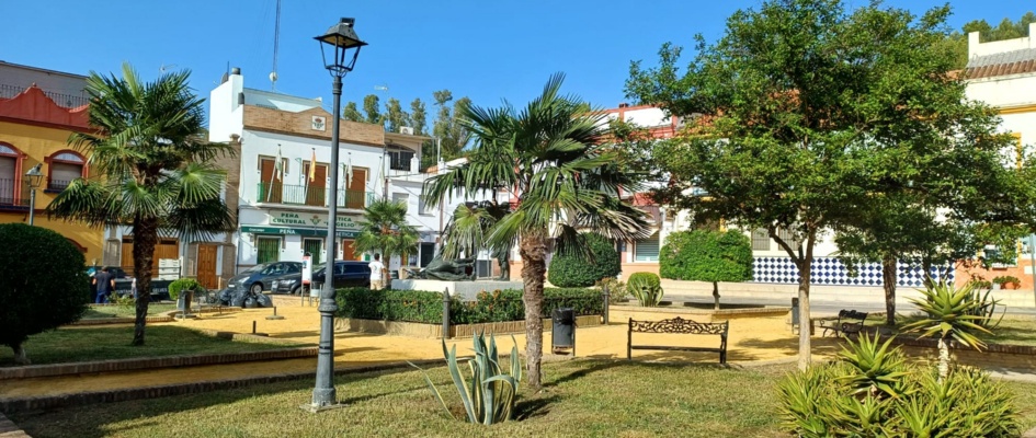 jardineria plaza joselito 31-7-24 2