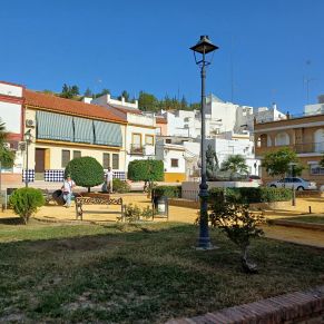 jardineria plaza joselito 31-7-24 3