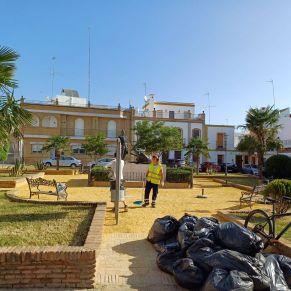 jardineria plaza joselito 31-7-24 4