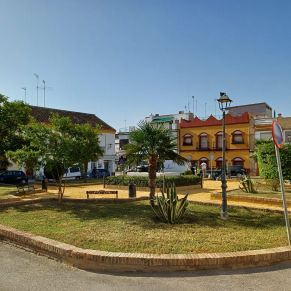 jardineria plaza joselito 31-7-24