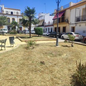 jardineria plaza joselito el gallo 3