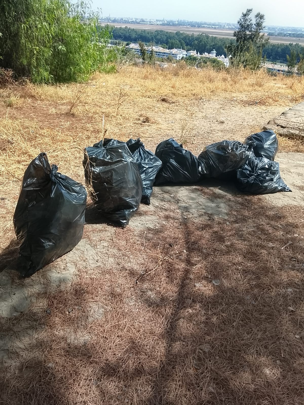 limpieza cornisa gelves agosto 26