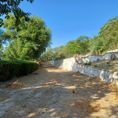 limpieza parque cañuelo 1 agosto 24-1