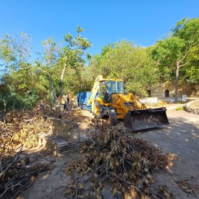 limpieza parque cañuelo 1 agosto 24-3