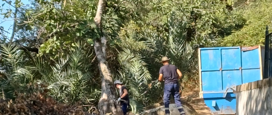 limpieza parque cañuelo 1 agosto 24-4