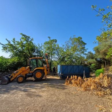 limpieza parque cañuelo 1 agosto 24