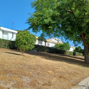 limpieza solar calle ciaurriz 1-8-24 3