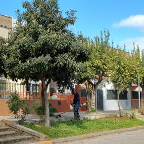 limpieza y desbroce bda. andalucia 3