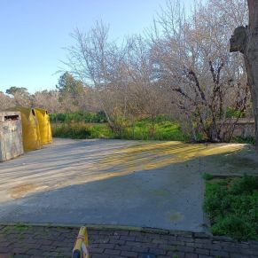 mejoras marina gelves enero 24 contenedores suelo