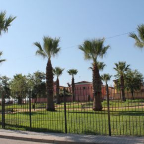 palmeras parque jardines guadalquivir