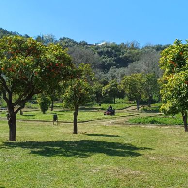 parque pandero jardineria 1