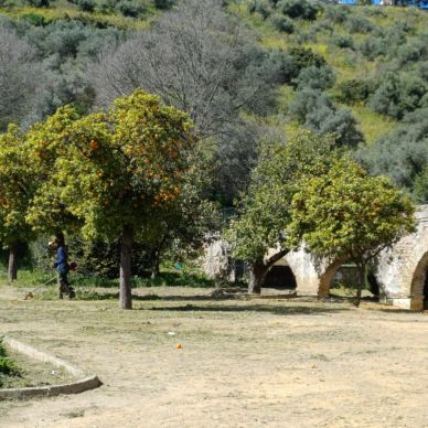 parque pandero jardineria 2