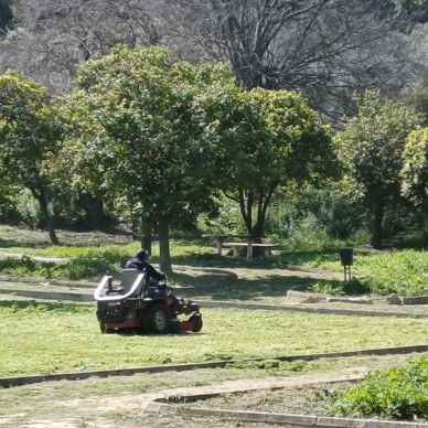 parque pandero jardineria 3