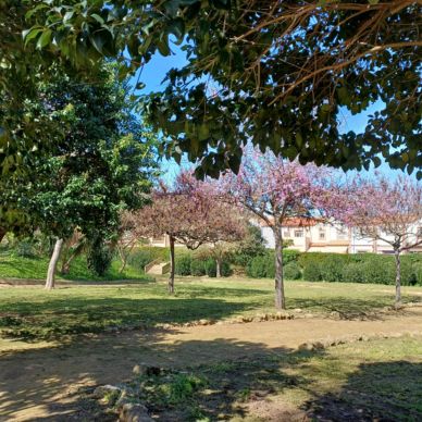 parque pandero jardineria 5