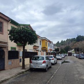 poda maestranza naranjos ok 1