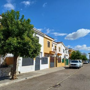 recogida naranjas feb 24 - b1