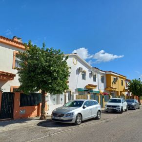 recogida naranjas feb 24 - b2