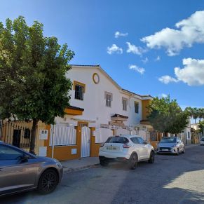 recogida naranjas feb 24 - b4