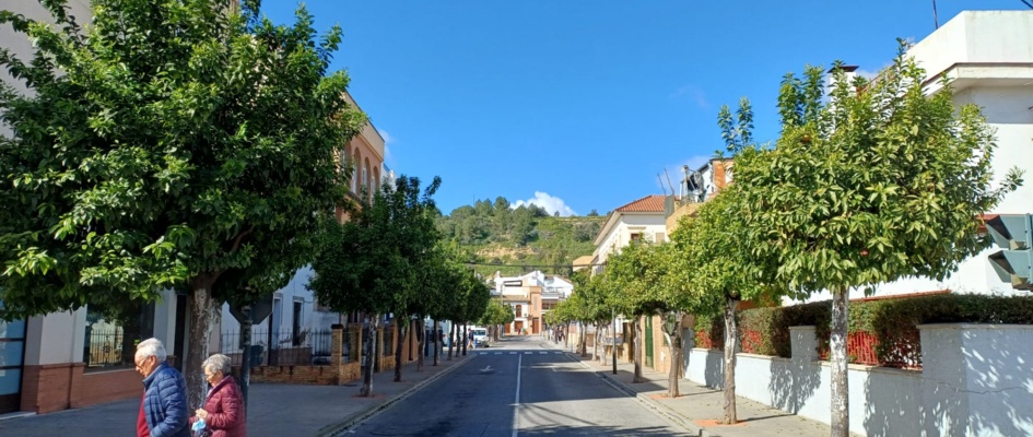 recogida naranjas feb 24 - matias vela