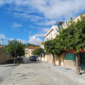 recogida naranjas feb 24 - rio
