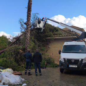 temporal 2 febrero 26 placas solares