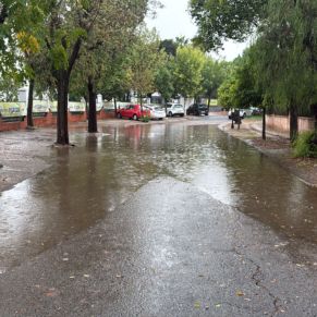 temporal 29 oct 25 calle s verde