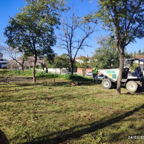 varios arreglos 24 marzo 2025 3